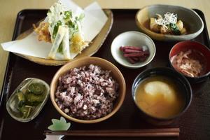おもちの母屋