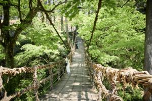 かずら橋