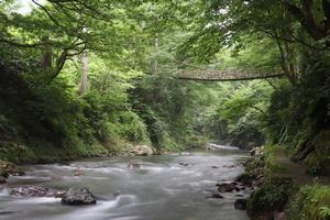 かずら橋