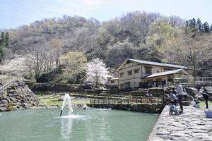 天池乃宿