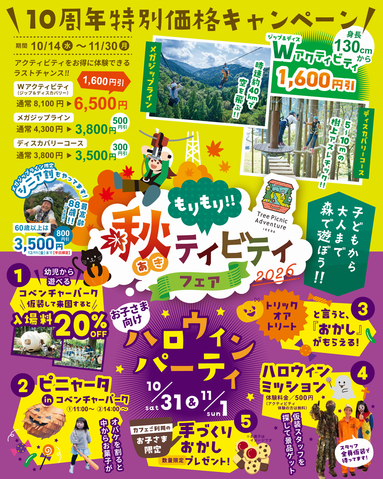TPAチラシ