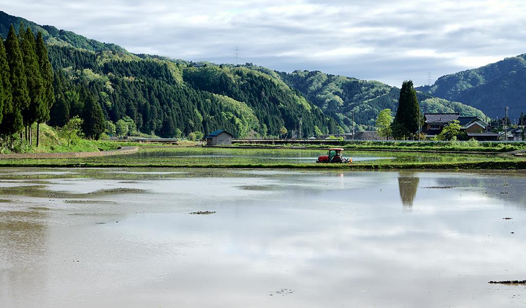 田園風景
