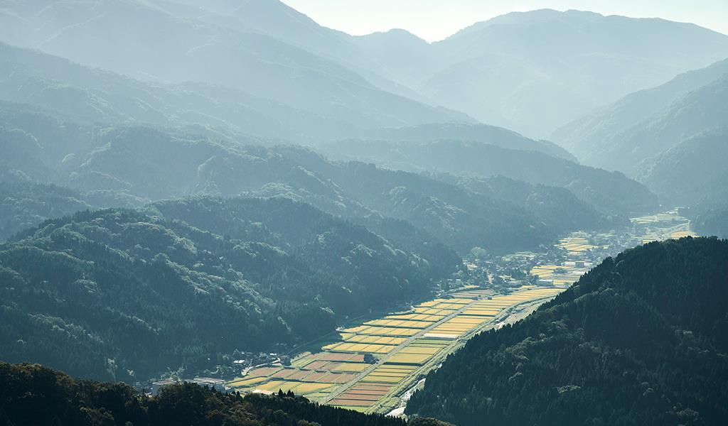 山からの町並み