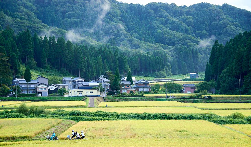 田園風景