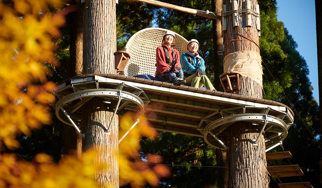 ツリーピクニック