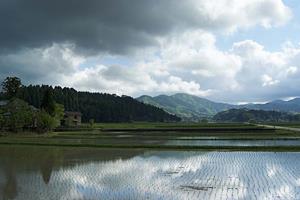 春の風景