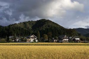 秋の風景