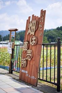 畑は直売所看板