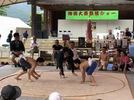 子ども相撲