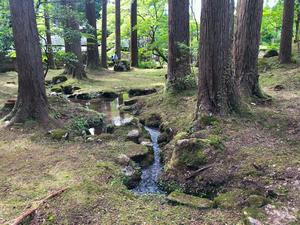 梅田氏庭園　春