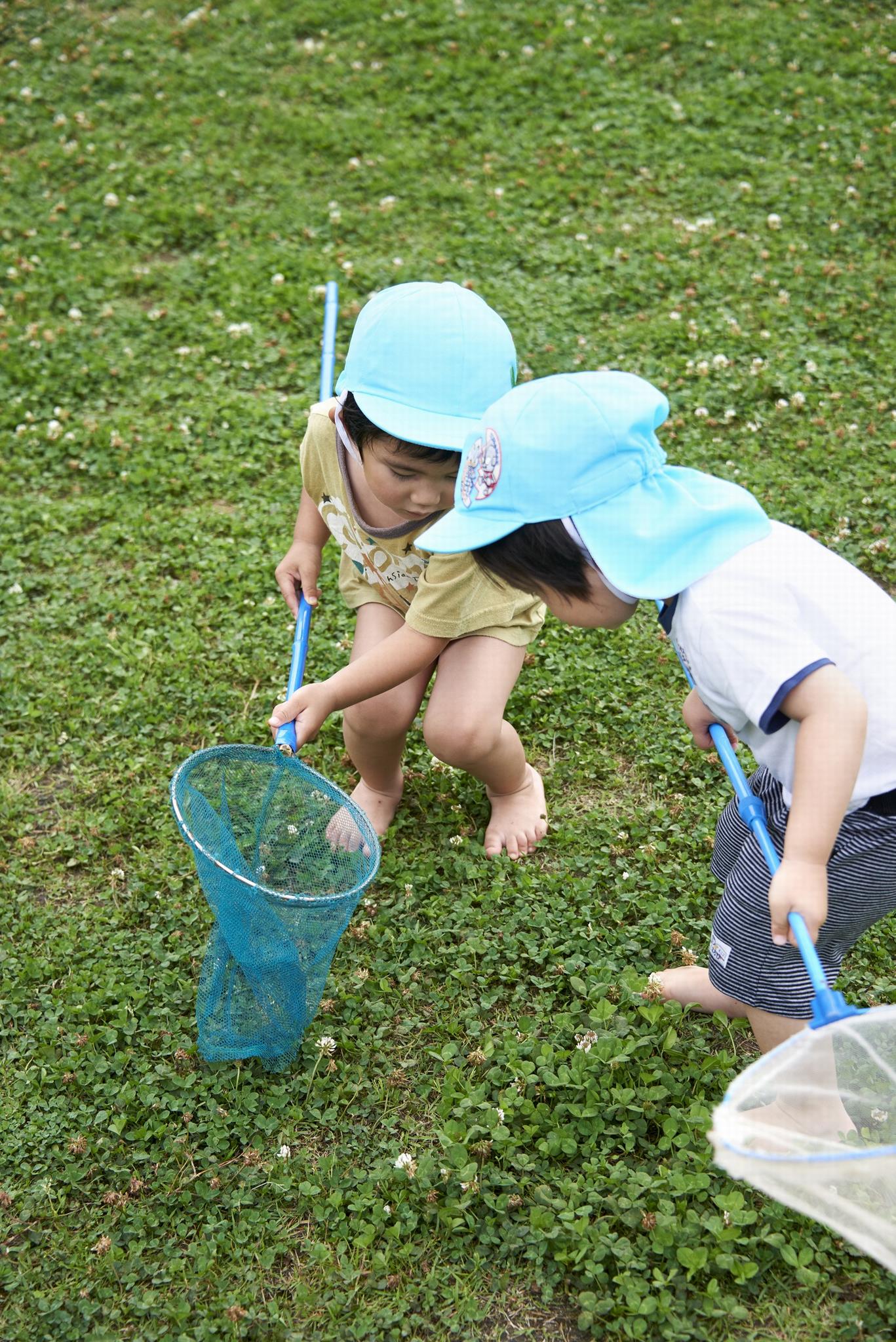 こども園での虫取り