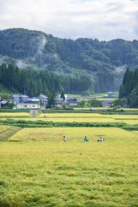 秋の風景