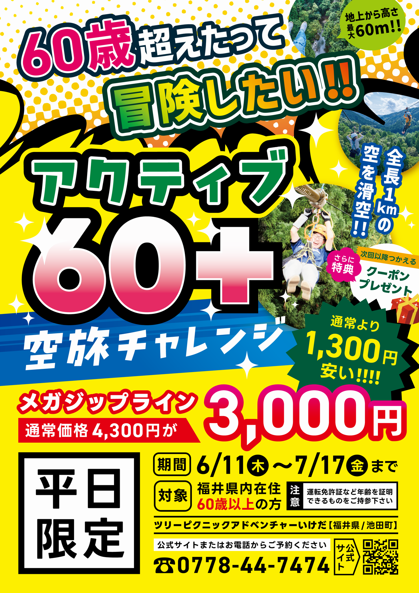 チラシ