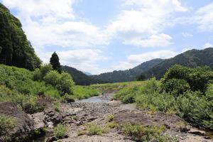 河川公園