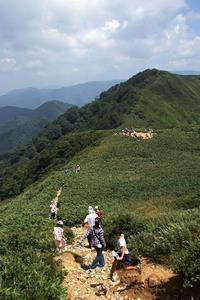 冠山