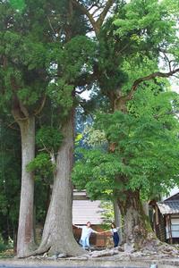 白山神社