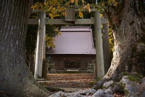 白山神社　お社