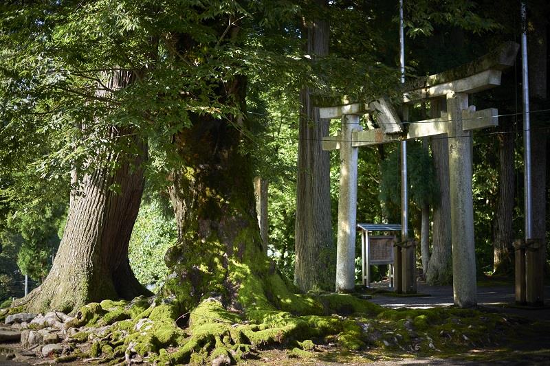 白山神社