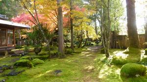 梅田氏庭園　秋