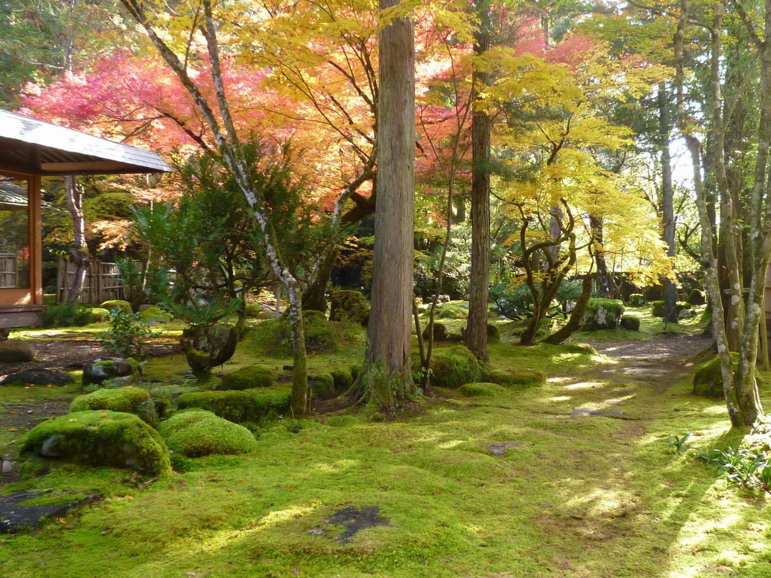 梅田氏庭園　秋