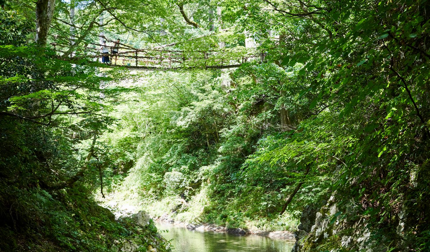 かずら橋