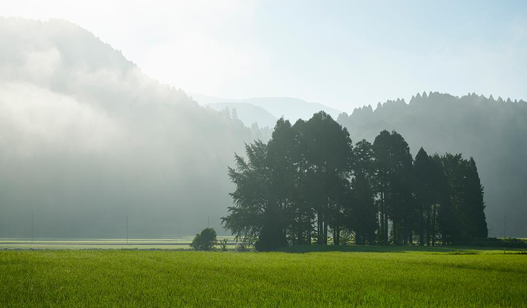 田園風景