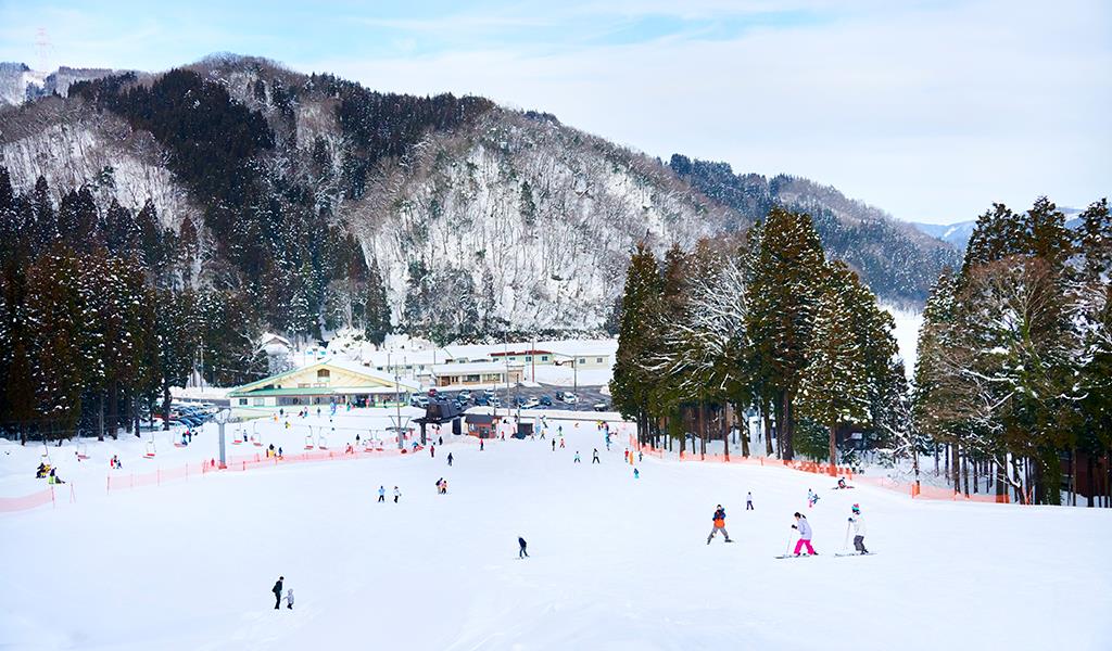 新保ファミリースキー場